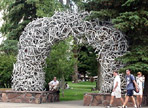 antler gates at the park