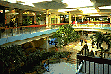 the mall