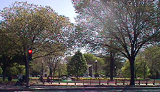 the center of dupont circle